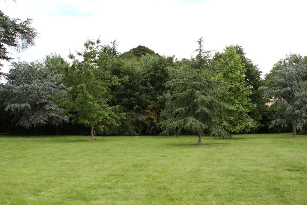 Chateau Du Bois De La Noe Bouaye Exterior foto